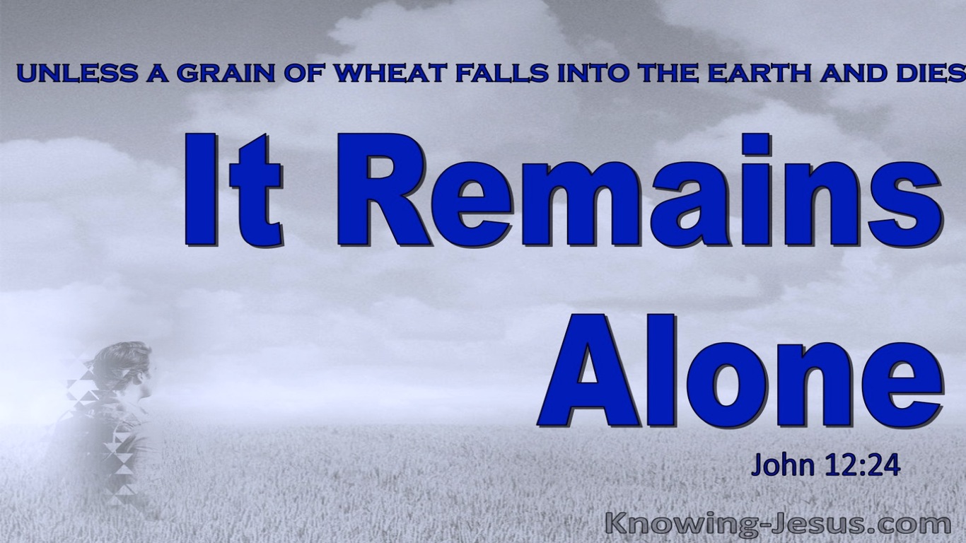 John 12:24 Unless A Grain Of Wheat Dies (blue)